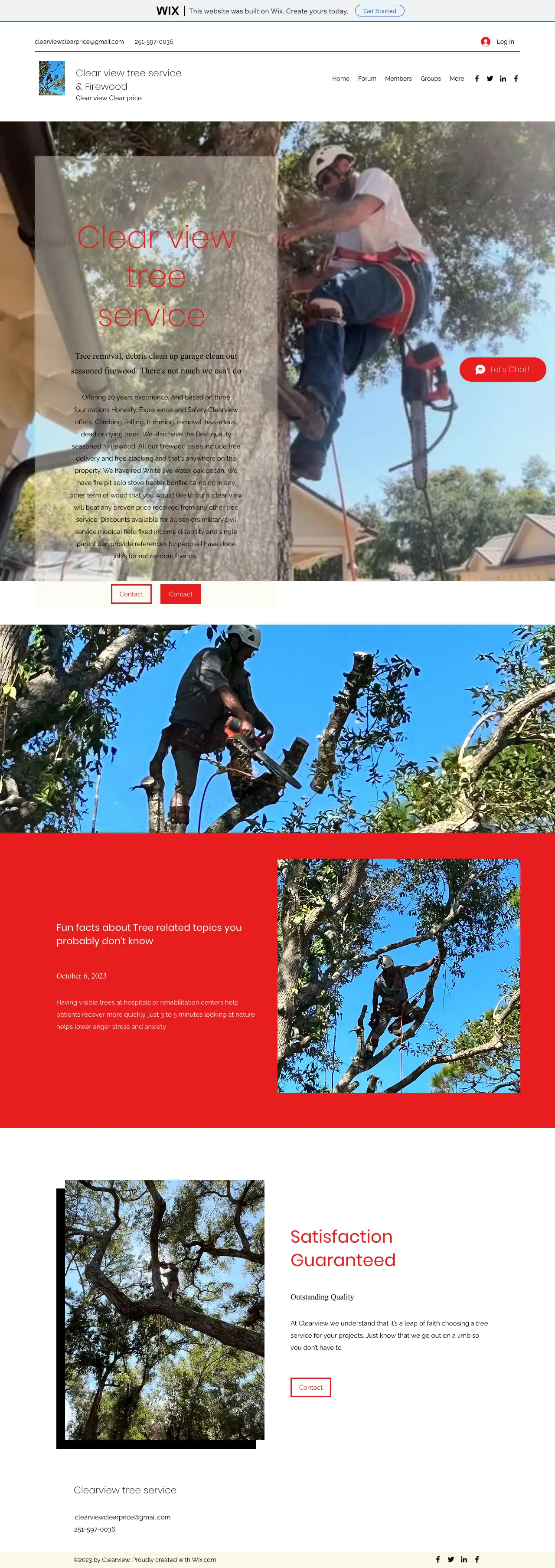 Screenshot of the original Clearview Tree Service website